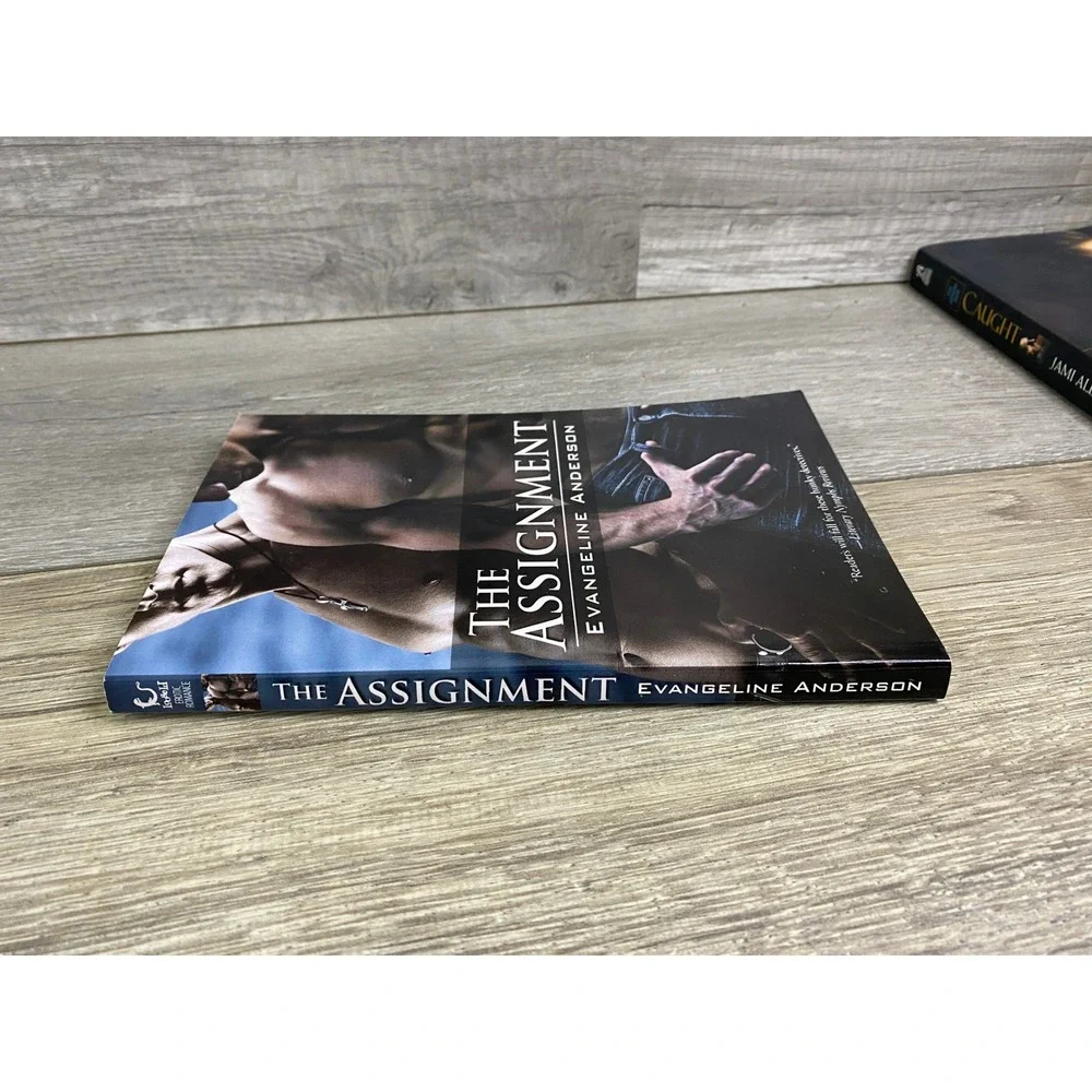 The‎ Assignment Evangeline Anderson MM Erotic Romance Paperback Loose Id 2007